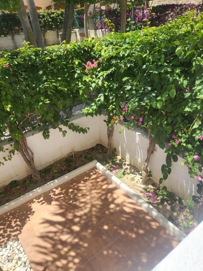 ¡Bajo Precioso Con Salida Directa A La Piscina Comunitaria En Paraiso De Vera! Exterior foto